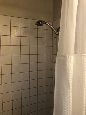 Tiny dark shower, needs ADA handle