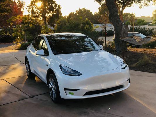 Mobile Detailing Specialists