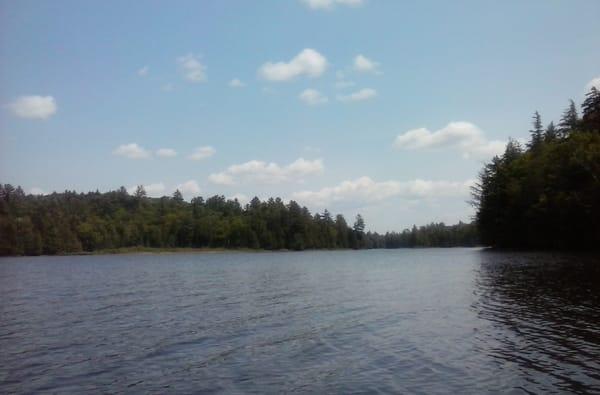 Adirondack Ecological Center - Newcomb Campus