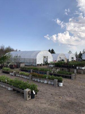 Kimber’s Farm and Creations