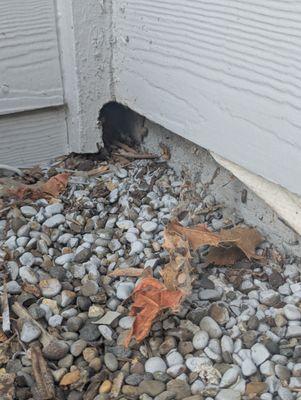 Commercial Property Resources