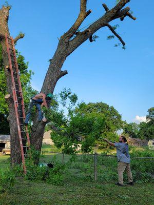 Woodard's Quality Tree care