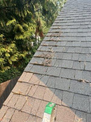 Cesars Home Solutions