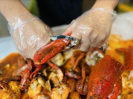 Bag O' Crab - Santa Rosa