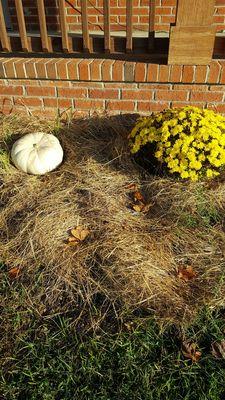 Perry County Chamber of Commerce