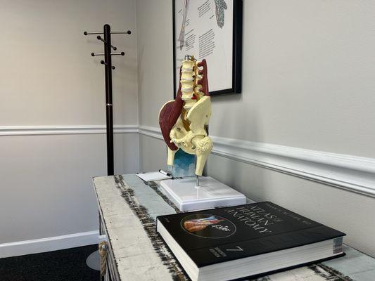 Land Chiropractic & Sports Clinic