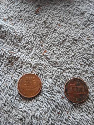 Dollars & Cents Coin Shop