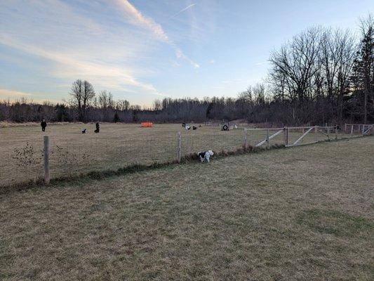 I think he's planning to jump that fence -- LOL