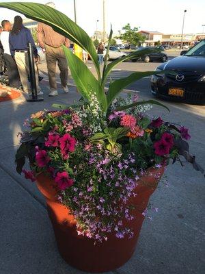 All Around Landscape