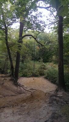 Crows Woods
