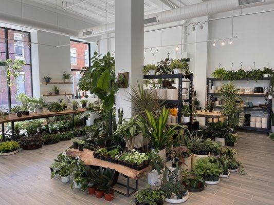 STUMP west Philadelphia location