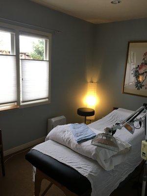 Lily Lotus Acupuncture