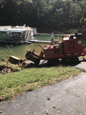 Stump Grinding Falcon