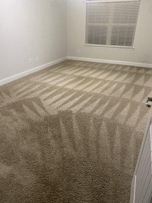 Carpet Pros