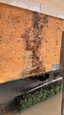 Damaged Plywood
