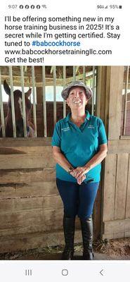 Babcock Horse Training