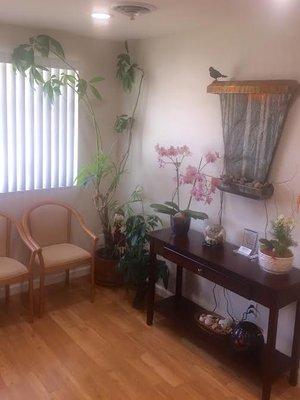 Stephanie Zhang, DDS