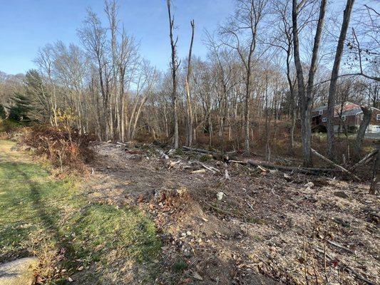 Kleber C Landscaping & Tree Services