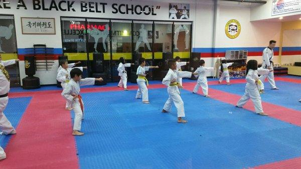 Taekwondo drill