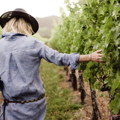 The Family Photograph