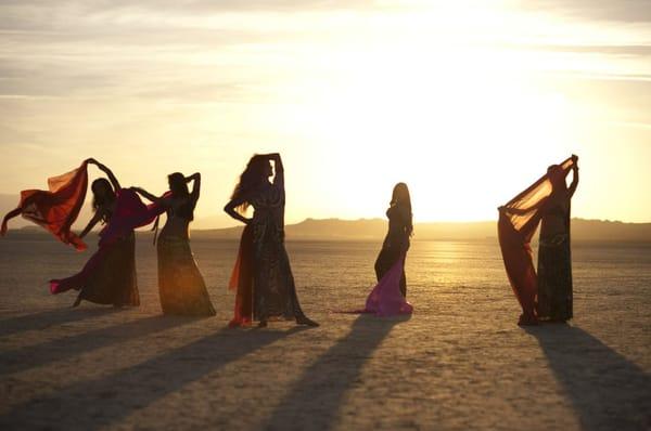 Phoenyx::DesertShadows by Carrie Elizabeth Hirsch