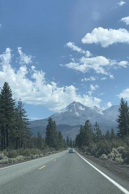 Mount Shasta
