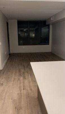 Box open concept entry, walkway, kitchen, dinning room and living room.