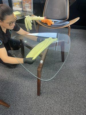 Professional Team Cleaning Services