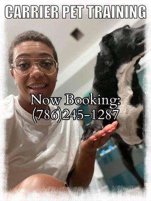 Carrier Aquarium & Terrarium Maintanance