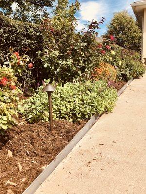 Rich Valley Landscapes