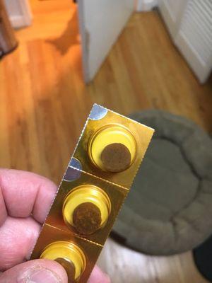 All Sorts of Pets Care