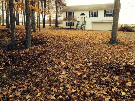 Stryker Lawn Service