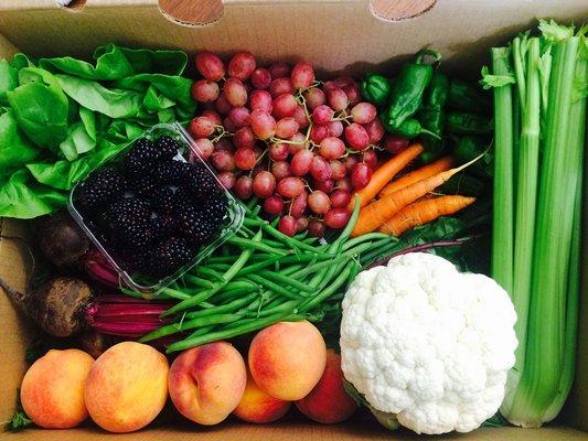 Summer Bounty! Sept 2016