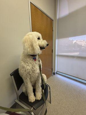 Lili Veterinary Hospital