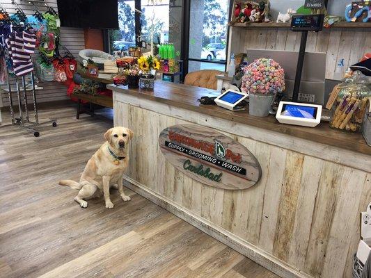 Ask us about our rewards