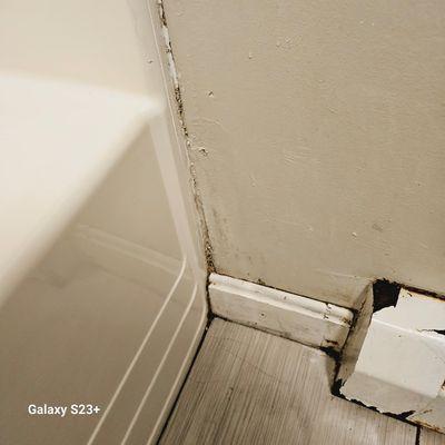 Abissie Royal Cleaning