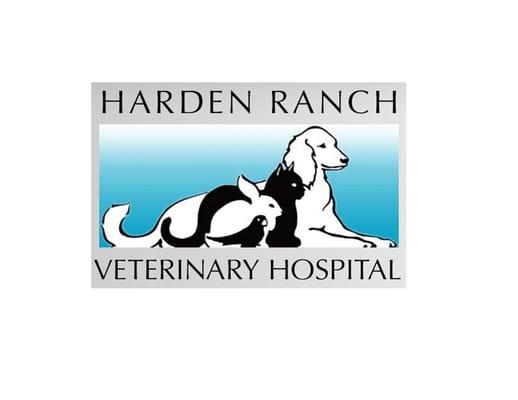 Jeffrey Hogans, DVBM