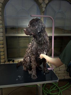 Madeline And Friends