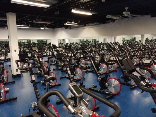 Spin room! Tons of bikes