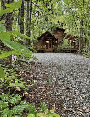 The Bear Affair Cabin