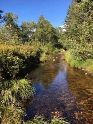 Stratton Off The Trail