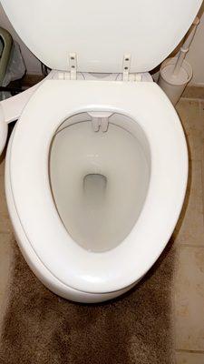 Eliza Cleaning Service