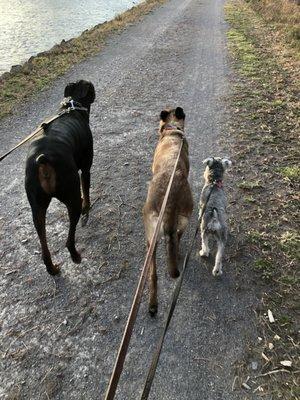 Fort Hyde Kennels