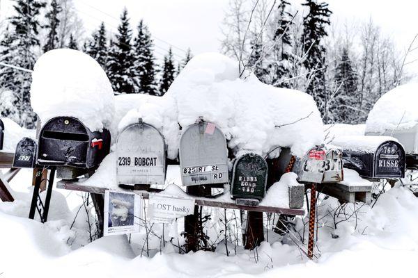 Jamie Ling Photography