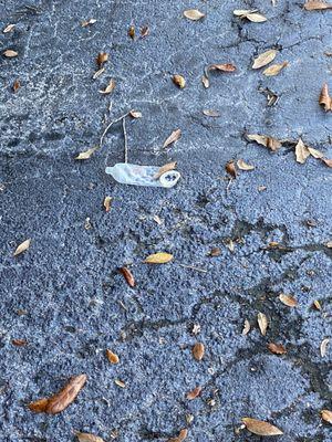 Used condom in front of my apartment