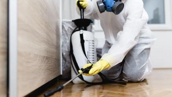 Westside Termite Control