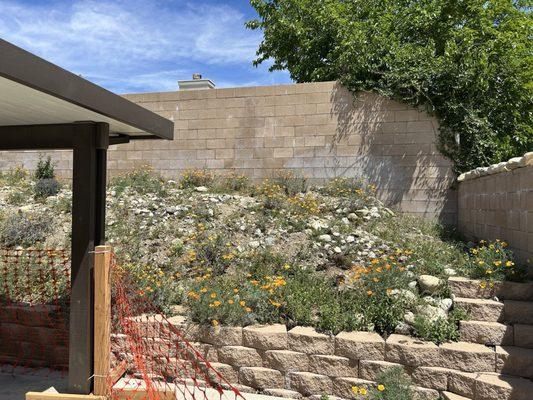 A & E Landscaping and Gardening