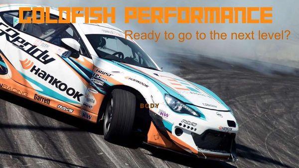 Goldfish performance