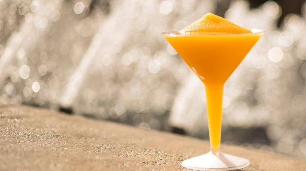 Les Vins des Chefs de France