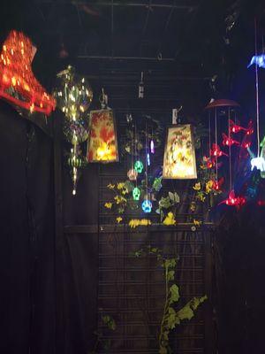 Wild Birds Galore & More